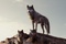 the-jungle-book-003-wd-0050-comp-v0392-right-86401-jpg
