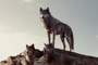 the-jungle-book-003-wd-0050-comp-v0392-right-86401-jpg
