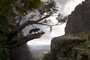 the-jungle-book-020-mj-0060-comp-v0935-right-87223-jpg