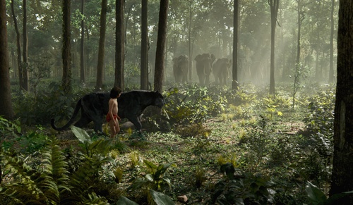 the-jungle-book-021-mj-0110-comp-v0442-right-00000-v02-jpg