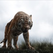 the-jungle-book-025-bs-2250-comp-v0542-right-1101-jpg
