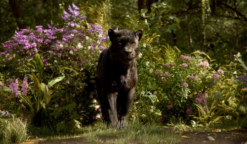 the-jungle-book-051-bf-0410-comp-v0250-087218-jpg