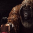 the-jungle-book-059-ct-0680-comp-v0312-right-86424-v2-jpg