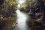 the-jungle-book-999-bf-0240-comp-v0246-right-1203-jpg