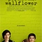 Affiche du film The Perks of Being a Wallflower   - The Perks of Being a Wallflower  