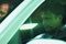 neil-maskell-jpg