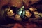 saskia mulder myanna buring - The Descent
