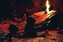 shauna macdonald dans un bain de sang - The Descent