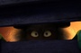 des-yeux-jpg