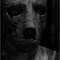 Affiche du film The Lords of Salem  - The Lords of Salem 