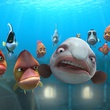 des-mechants-poissons-jpg