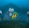 deux-bebes-tortues-jpg - Sammy 2 