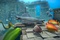 photo-13-du-film-sammy-2-jpg