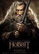 ian-mckellen-desolation-of-smaug-jpg
