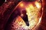 le-hobbit-la-desolation-de-smaug-jpg