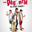 le-journal-d-un-degonfle-jpg