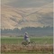 Affiche du film Beautiful Valley  - Beautiful Valley 