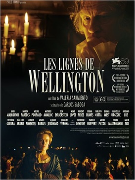 Affiche du film Les Lignes de Wellington