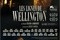 Affiche du film Les Lignes de Wellington 