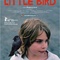 Affiche du film Little Bird  - Little Bird 