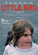 Little Bird 