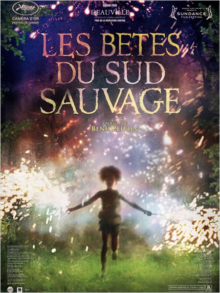Affiche du film Les Bêtes du sud sauvage 
