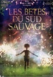 Les Bêtes du sud sauvage 