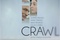 Affiche du film Crawl  
