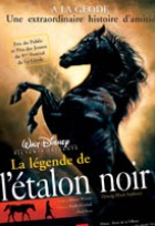 Affiche miniature du film La légende de l'étalon noir