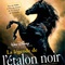 Affiche du film La légende de l'étalon noir - La légende de l'étalon noir 