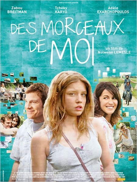Affiche du film Des Morceaux de Moi 