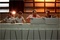 cage-doree-1-jpg