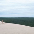 landes3-jpg