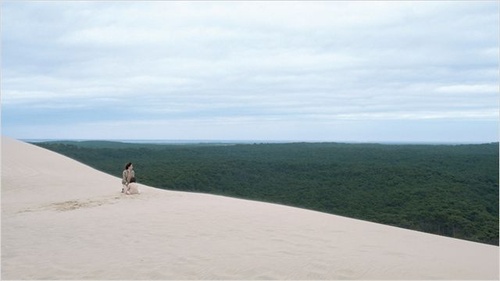 landes3-jpg
