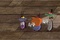 oggy-et-les-cafards1-jpg