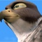 droles-d-oiseaux1-jpg - Drôles D'oiseaux 