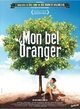 Affiche du film Mon bel oranger 
