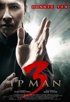 Affiche miniature du film Ip Man 3