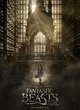 Affiche du film Les animaux fantastiques 