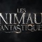 les-animaux-fantastiques-france-jpg - Les animaux fantastiques 