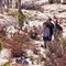 desierto-6-jpg - Desierto 