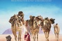 Affiche du film Tracks (2016) 