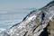 dans-les-forets-de-siberie-1-jpg