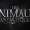 Affiche du film Les Animaux Fantastiques 2  - Les Animaux Fantastiques 2 