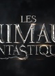 Affiche du film Les Animaux fantastiques 3 