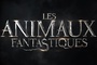 Affiche du film Les Animaux fantastiques 3 