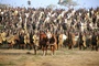 armee de troie