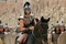 brad pitt a cheval