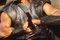 brad pitt achille dans troie