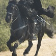 antonio-banderas-a-cheval-jpg